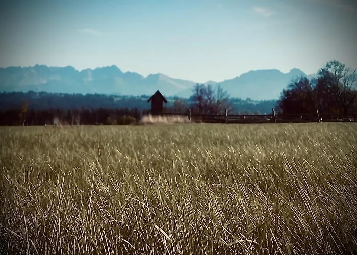 Chalet Malowany W Gorach