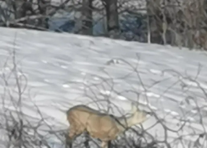 Chalet Malowany W Gorach